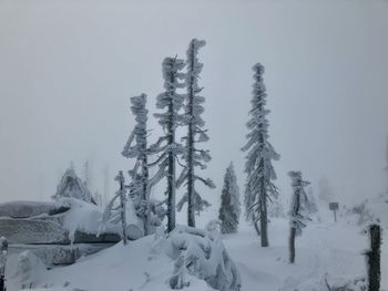 snow