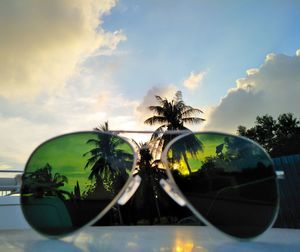 Close-up of palm trees against sky