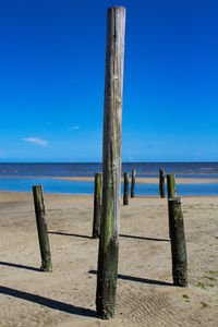 Wooden posts on beach against blue sky
