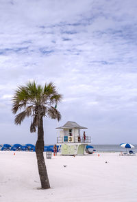 Palm trees on beach by sea against sky