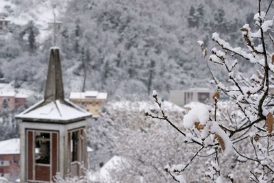 Snow covered cherry tree by building during winter