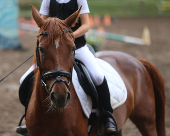 Close-up of horse riding