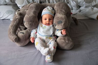 Portrait of newborn baby with stuffed elephant toy