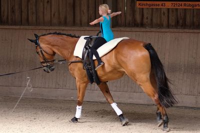 Man riding horse