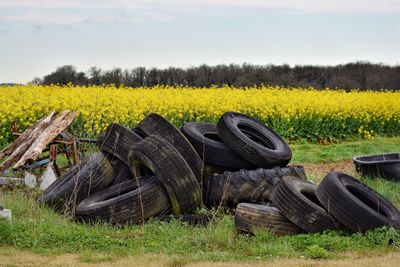 View of tire tracks on field