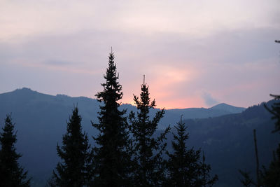 Silhouette tree in mountains against sky during sunset