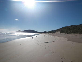 Scenic view of beach