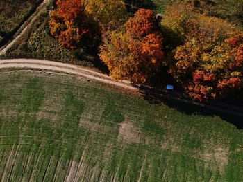 High angle view of road amidst trees during autumn