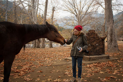 Woman touching horse amidst bare trees on field during autumn