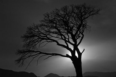 Low angle view of silhouette bare tree against sky