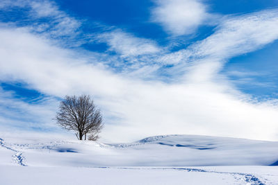 Scenic view of snowcapped mountain against sky