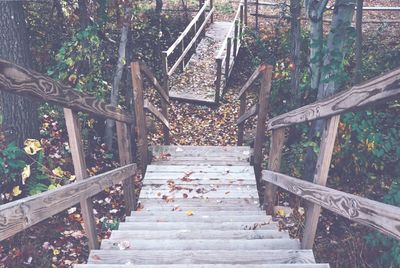 Walkway leading to wooden footbridge