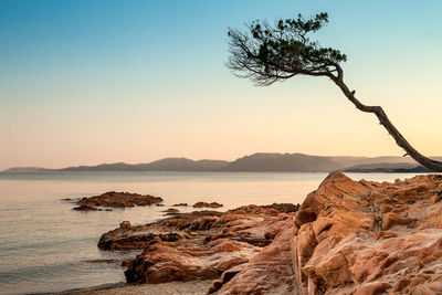 Scenic view of sea against clear sky