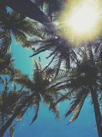 Low angle view of silhouette tree against sky