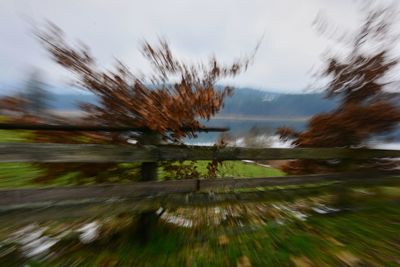 Scenic view of road by trees against sky