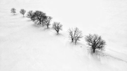 Bare tree on snow covered field against sky