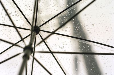 Close-up of water drops on glass