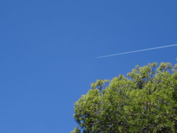 Low angle view of vapor trail against clear blue sky