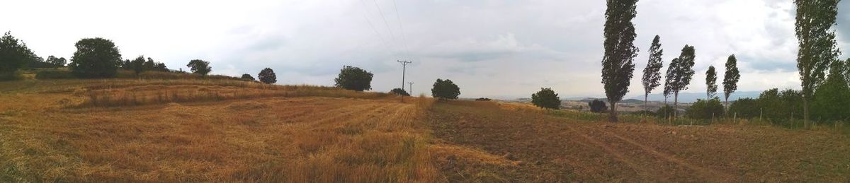 Panoramic view of field against sky