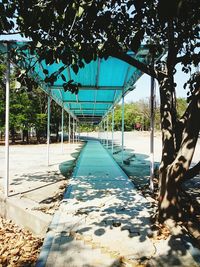 View of trees at beach against sky