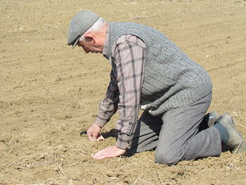 Senior man sowing on field