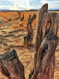 Scenic view of desert against sky