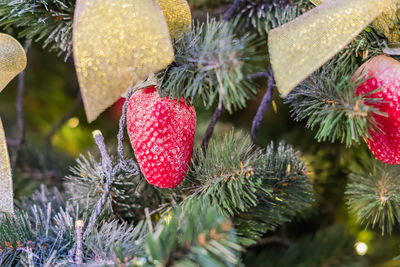 Christmas and new year holidays background. christmas tree decorated with strawberry, 