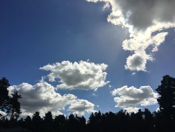 Low angle view of trees against sky