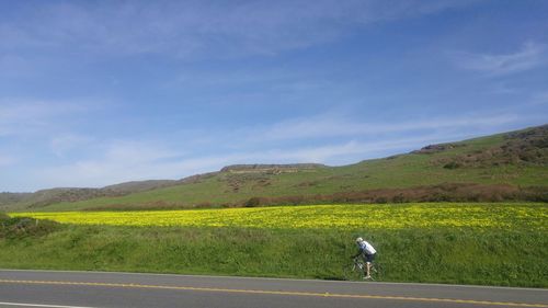 Scenic view of landscape against blue sky