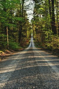 Road amidst trees in forest