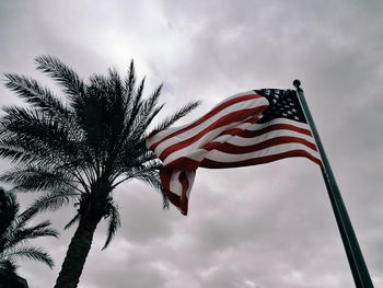 Low angle view of american flag and palm trees against sky