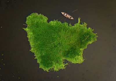 High angle view of leaf floating on lake