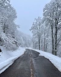 Road amidst trees against sky