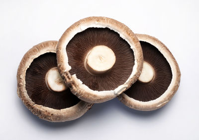 Close-up of mushrooms against white background