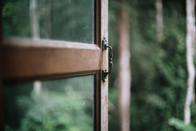 Close-up of old window in forest