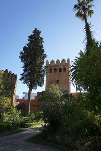 Trees by built structure against clear sky