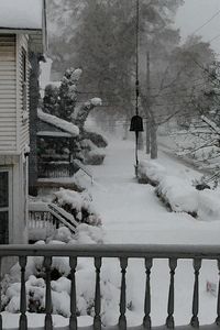 Scenic view of snow covered tree