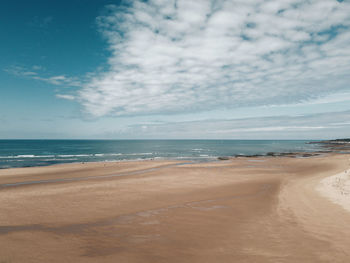 Scenic drone view of beach and ocean against sky