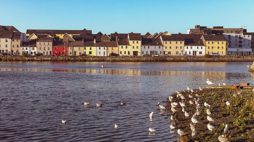 Housing along the long walk and the spanish arch in galway ireland.
