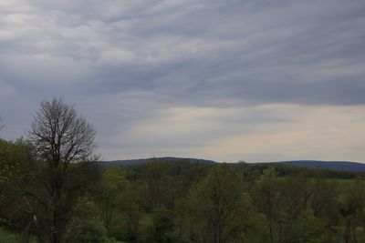 Scenic view of landscape against cloudy sky