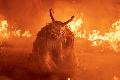 Fire. flames. krampus. christmas devils