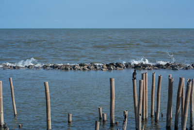 Wooden posts in sea against clear sky