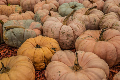 Full frame shot of pumpkins for sale at market stall