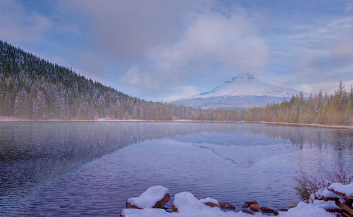 Scenic view of lake by trees against sky