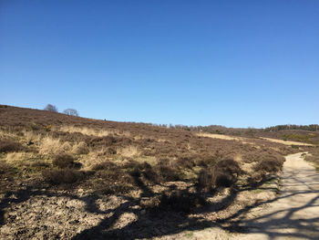 Scenic view of landscape against clear blue sky