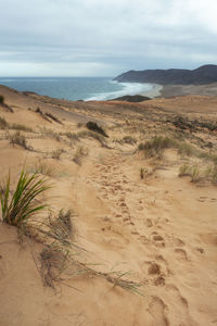 Scenic view of beach against sky