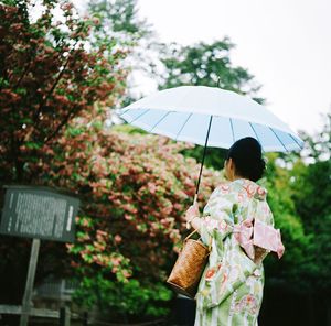 Woman wearing kimono while holding umbrella against trees
