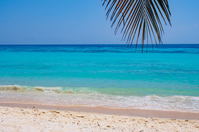 Scenic view of sea against clear blue sky