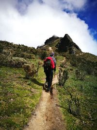 Rear view of person walking on trail