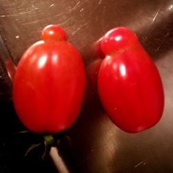 Close-up of tomatoes on table